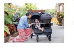 Joie Rosemary LX Full-Size Double Stroller - Image 6